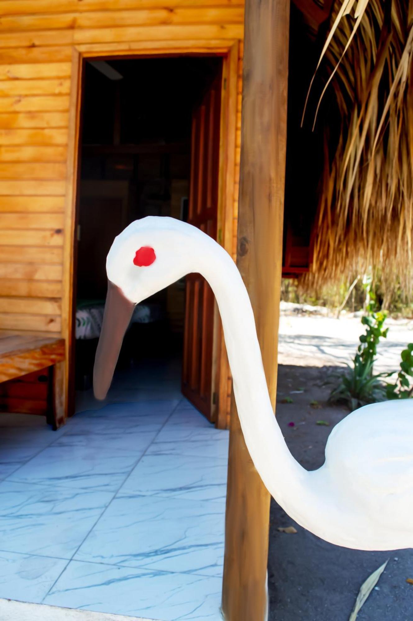 Palma Plata Islas Del Rosario グランデ島 エクステリア 写真